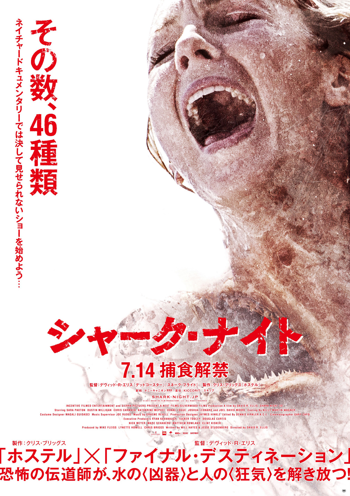 シャークナイト(SHARK NIGHT 3D)91分 - 元レンタル店店長まぁくのB級