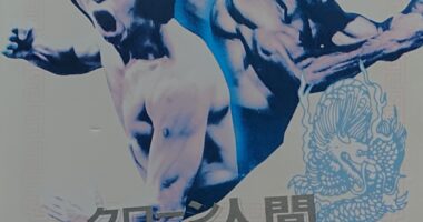 クローン人間ブルースリー - 元レンタル店店長まぁくのB級日常映画館