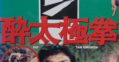 ドラゴン酔太極拳 - 元レンタル店店長まぁくのB級日常映画館