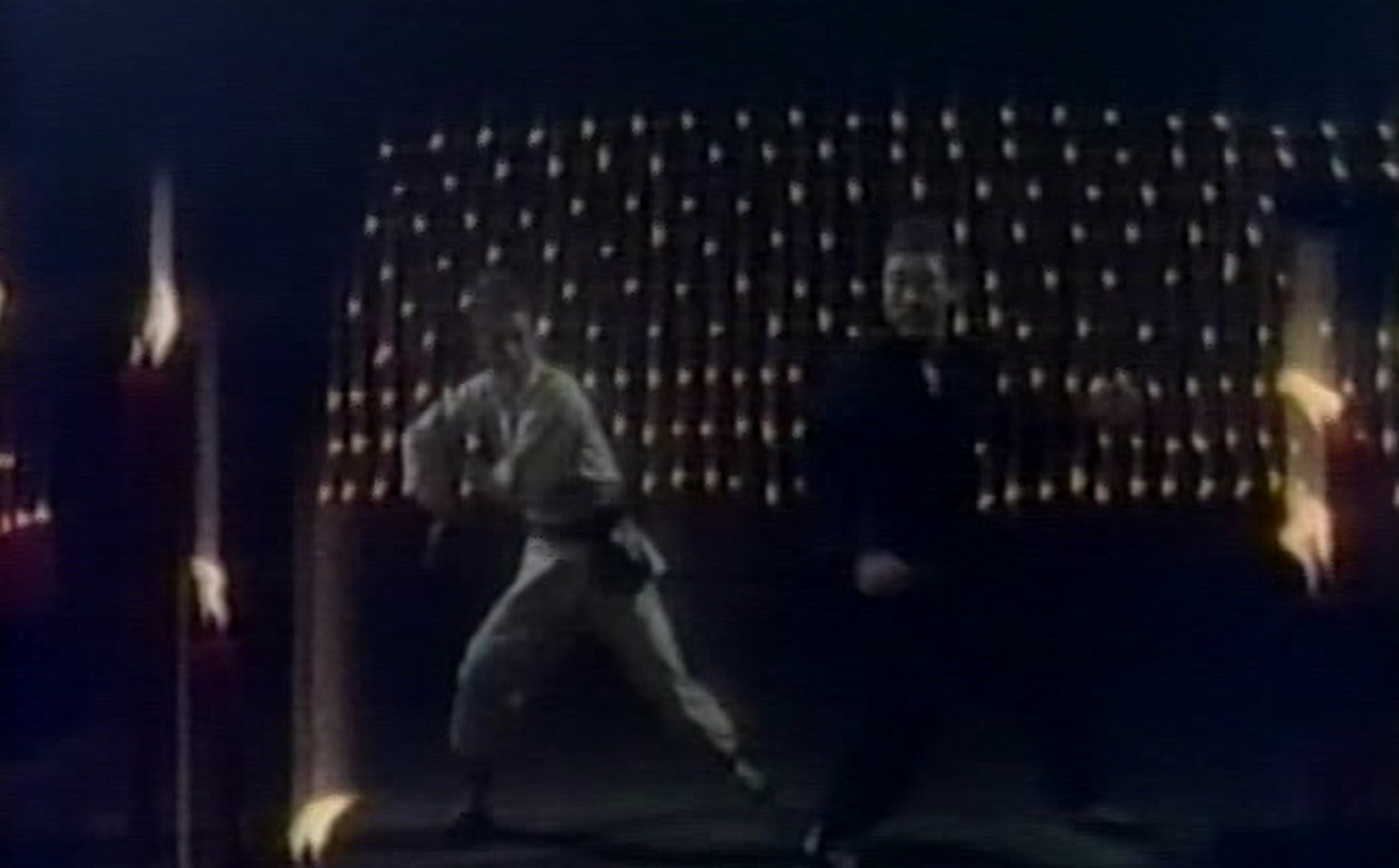 【未公開カンフー映画】ドラゴン修行房(少林虎鶴震天下/虎鶴雙形TIGER & CRANE FISTS/SAVAGE KILLERS)90分