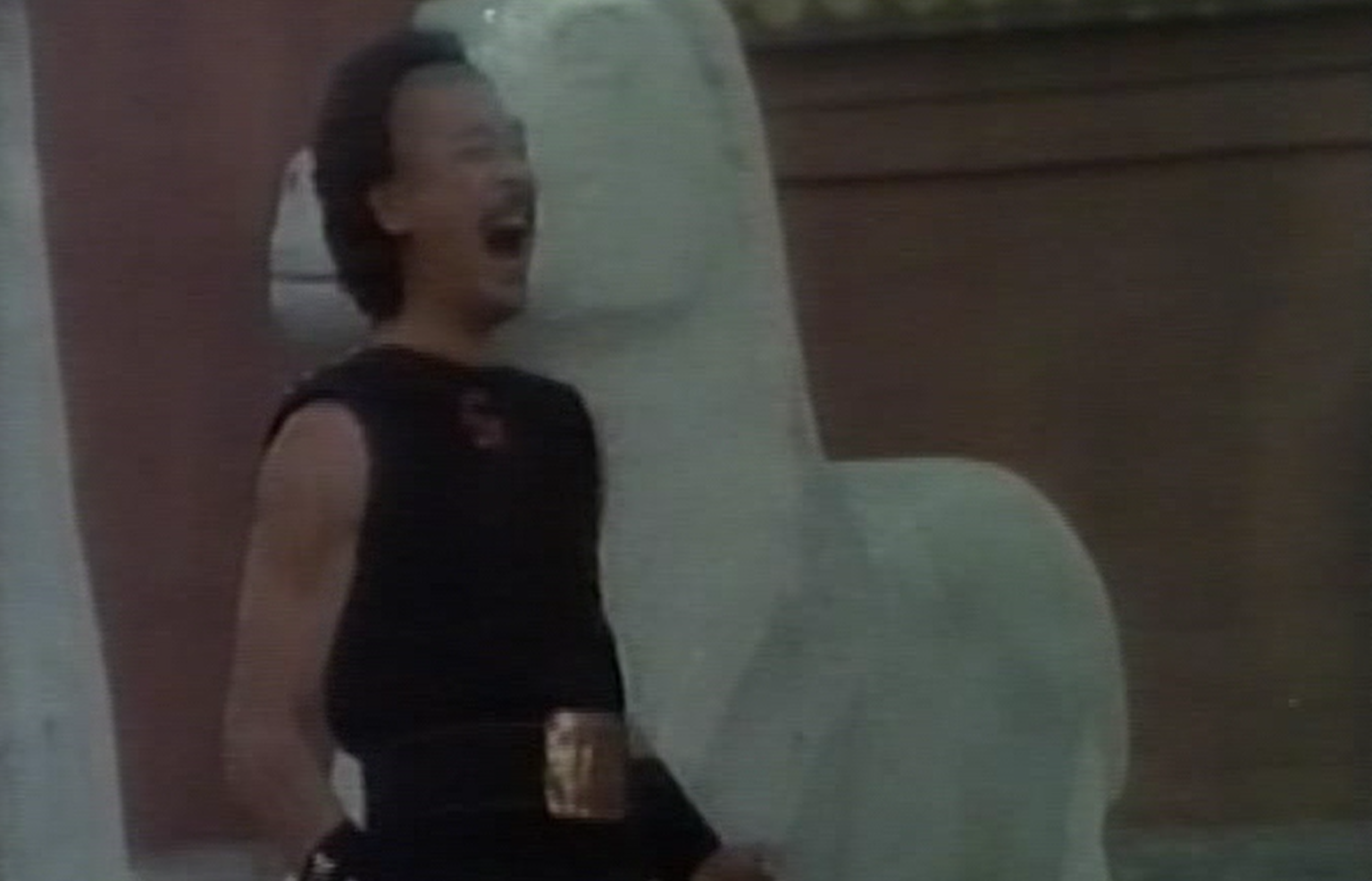 【未公開カンフー映画】ドラゴン修行房(少林虎鶴震天下/虎鶴雙形TIGER & CRANE FISTS/SAVAGE KILLERS)90分