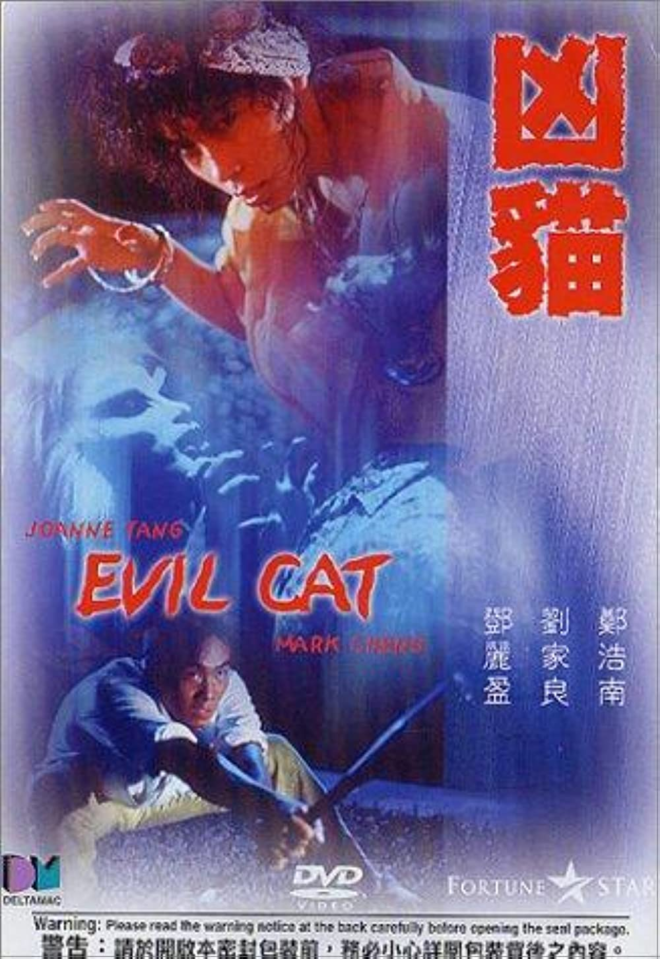 【レア作品!香港映画】デビルキャット(凶猫EVIL CAT)81分 - 元レンタル店店長まぁくのB級日常映画館