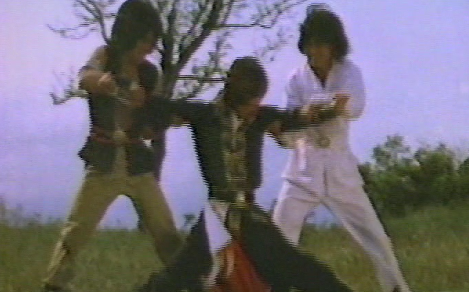 Secret Rivals 3 【未公開カンフー映画】必殺!!ドラゴン復讐拳(新南拳北腿THE NEW SOUTH HAND BLOWS AND NORTH KICK ...