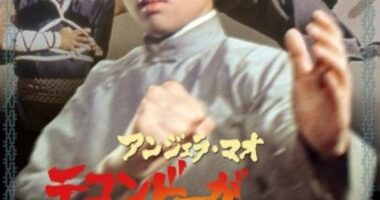 アンジェラ・マオ/テコンドーが炸裂する時('73香港) Amazon.co.jp: テコンドーが炸裂する時 [DVD] : アンジェラ