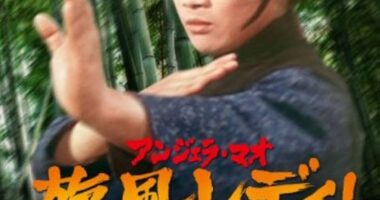 アンジェラ・マオ/旋風レディ!鉄掌拳('73香港) 楽天市場】新品Blu-ray！＜『アンジェラ・マオ 旋風レディ！ 鉄